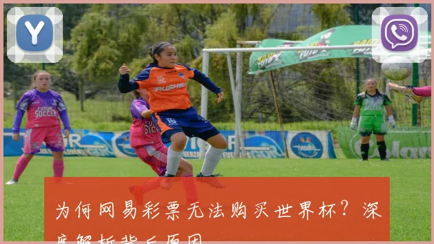 为何网易彩票无法购买世界杯?深度解析背后原因