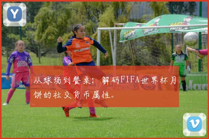 从球场到餐桌：解码FIFA世界杯月饼的社交货币属性。
