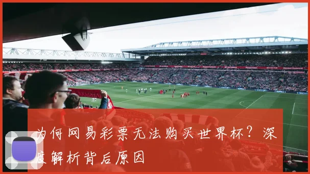 为何网易彩票无法购买世界杯?深度解析背后原因