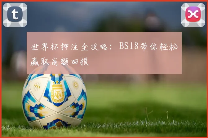 世界杯押注全攻略：BS18带你轻松赢取高额回报