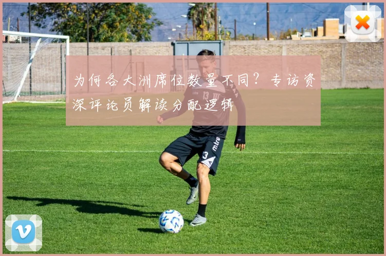 为何各大洲席位数量不同?专访资深评论员解读分配逻辑